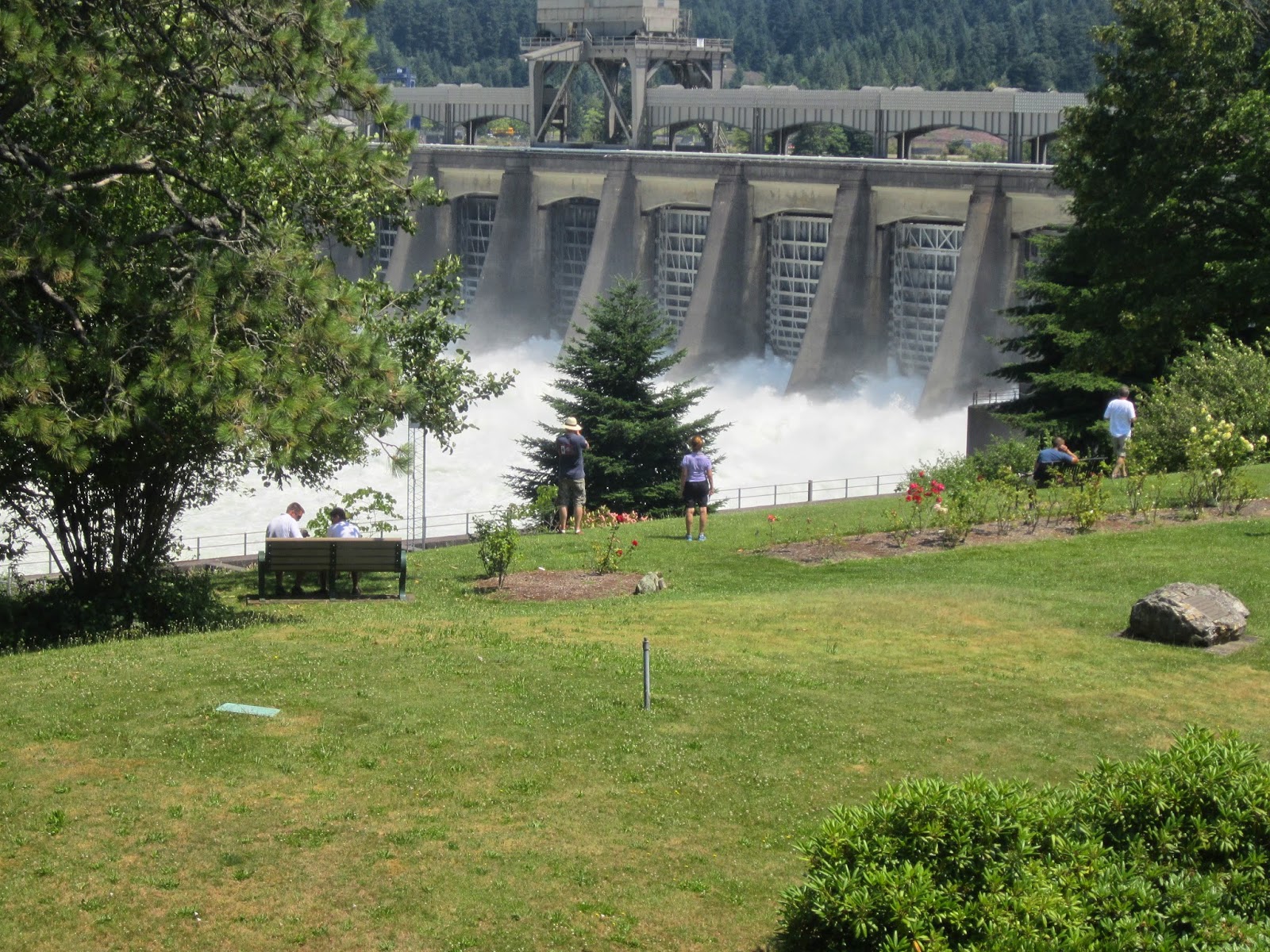 Sprouts Portland Oregon