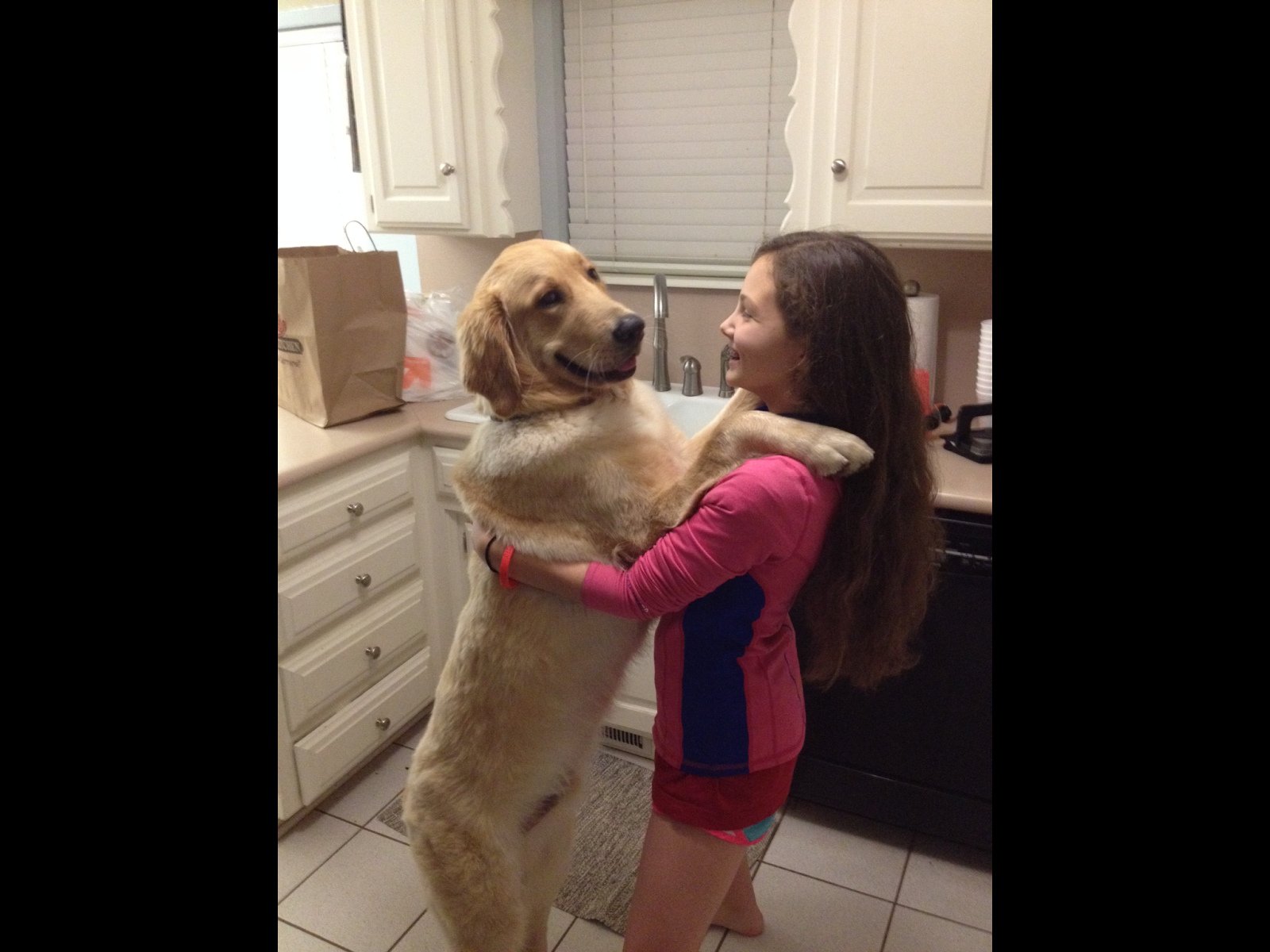 The I in Creativity Dog Leg Warmers