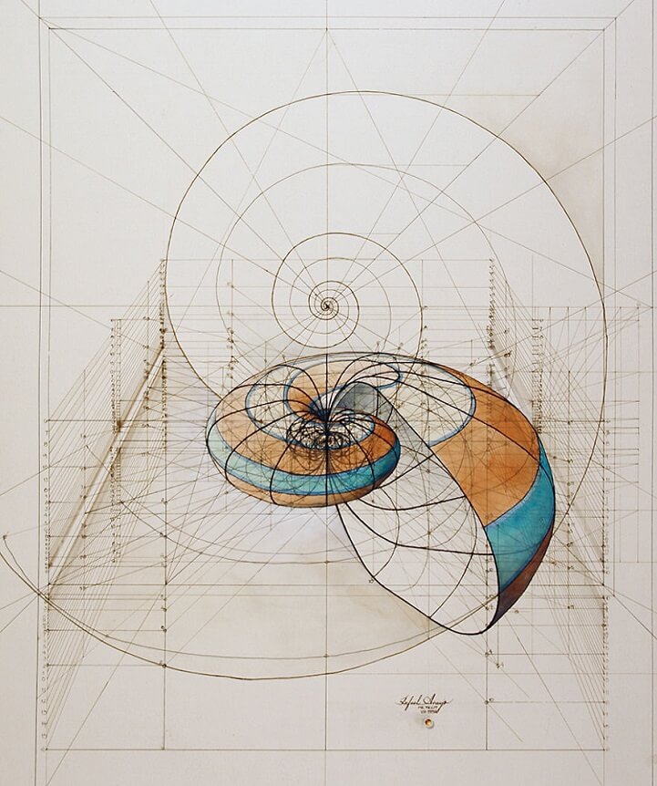 Fantastic Coloring Book Celebrates The Mathematical Beauty of Nature’s Creations With Hand-Drawn Golden Ratio Illustrations
