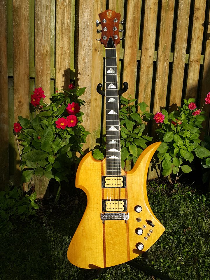 Japanese Guitar November 2016