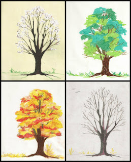 Montage of sketches of the same tree in four seasons