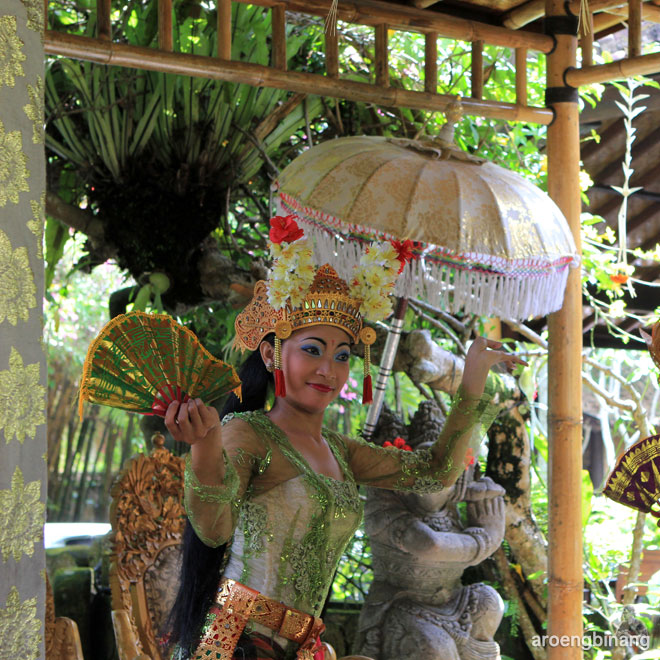 bebek tepi sawah ubud