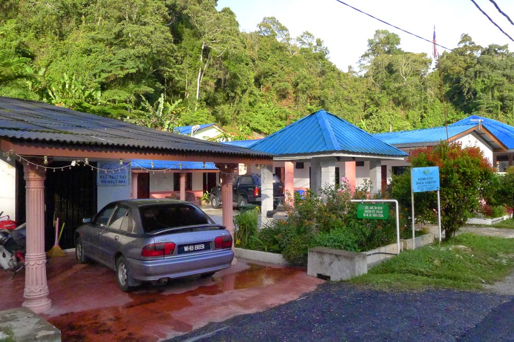 homestay kampung taman sedia di cameron highland - GaventaroArmstrong