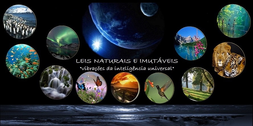 Leis Naturais e Imutáveis – Vibrações da Inteligência Universal 
