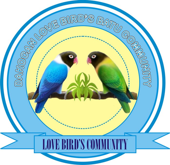 Desain Logo Hd Gambar Logo Contoh Logo Lovebird
