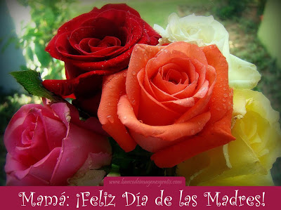 Rosas de colores con mensaje para el Día de las Madres