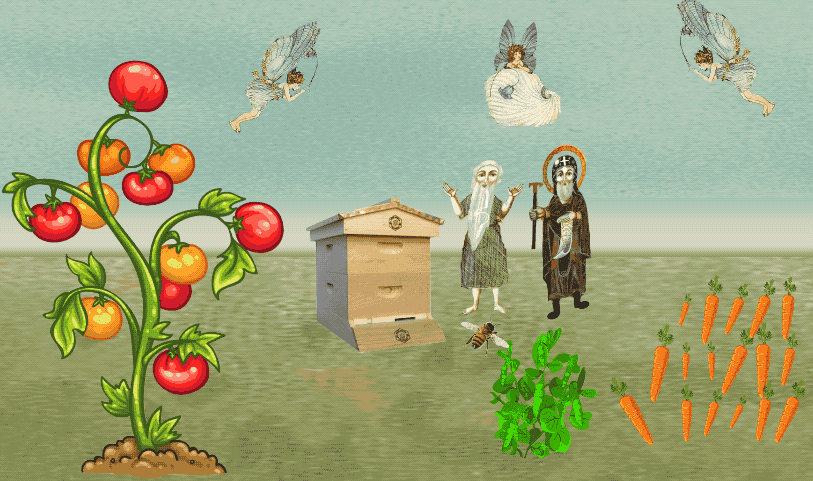 Growing With Plants Rating Tomatoes Which Ones Are The Best To