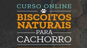  Biscoitos Naturais Para Cachorros