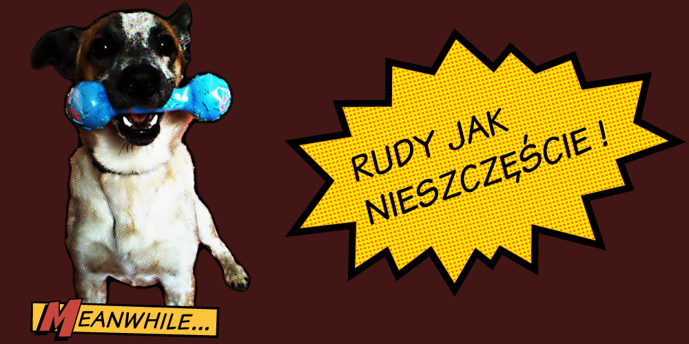 Rudy jak nieszczęście!