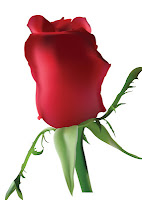 Photorealistic red vector rose.  Created by Ataei.http://www.greatvectors.com/2011/10/realistic-vector-rose/