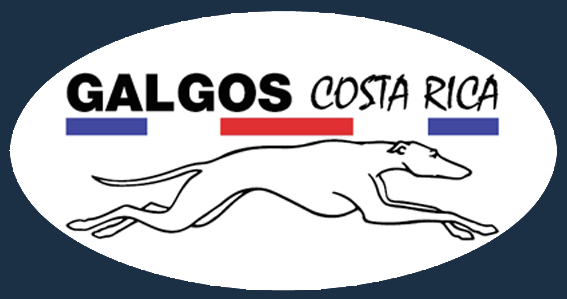 GALGOS COSTA RICA