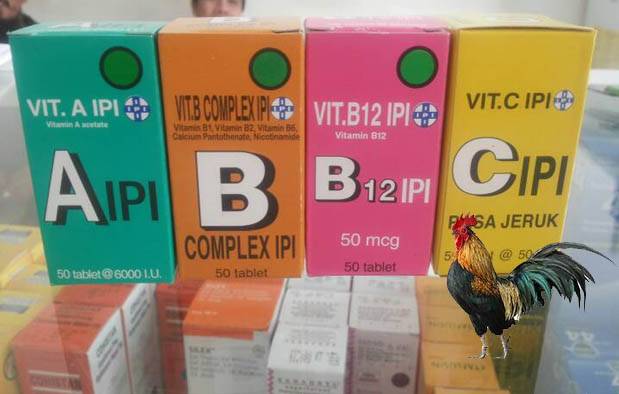 Vitamin Ayam