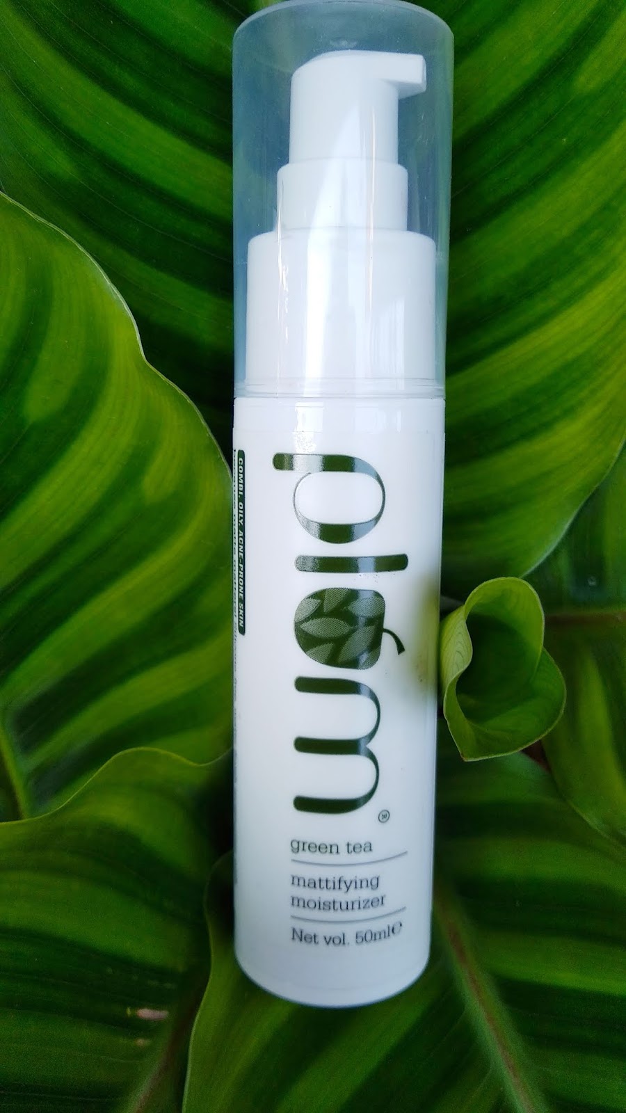 PLUM GREEN TEA MATTIFYING MOISTURIZER REVIEW BEST FOR OILY SKIN My