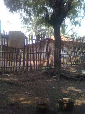 my galery area: berkunjung ke rumah nenek part 1