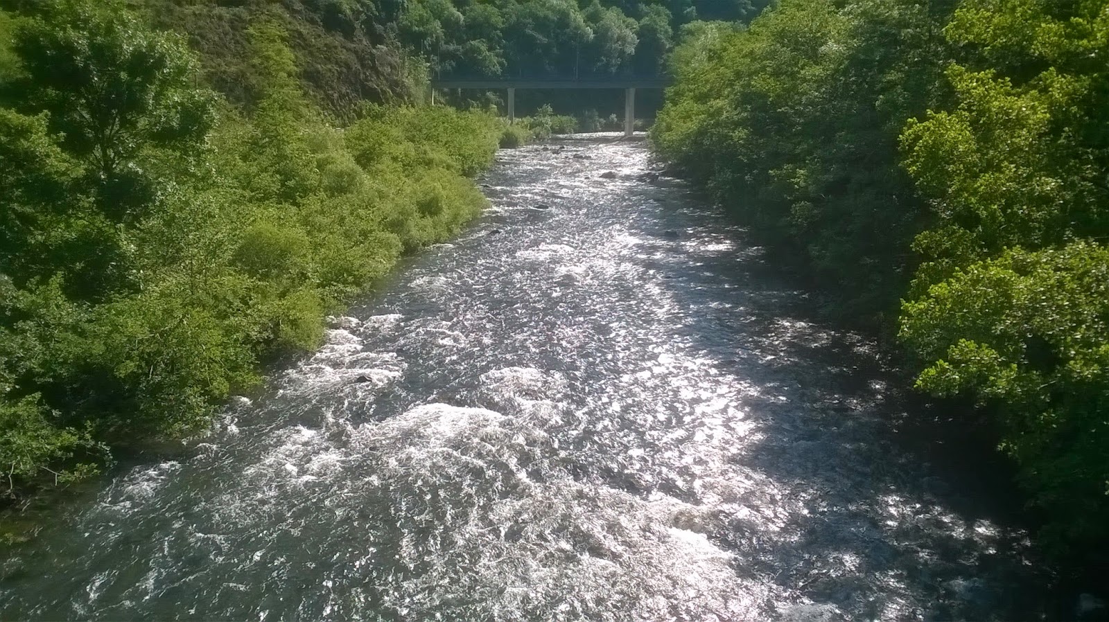 Bidasoa Irun Bidasoa Irun