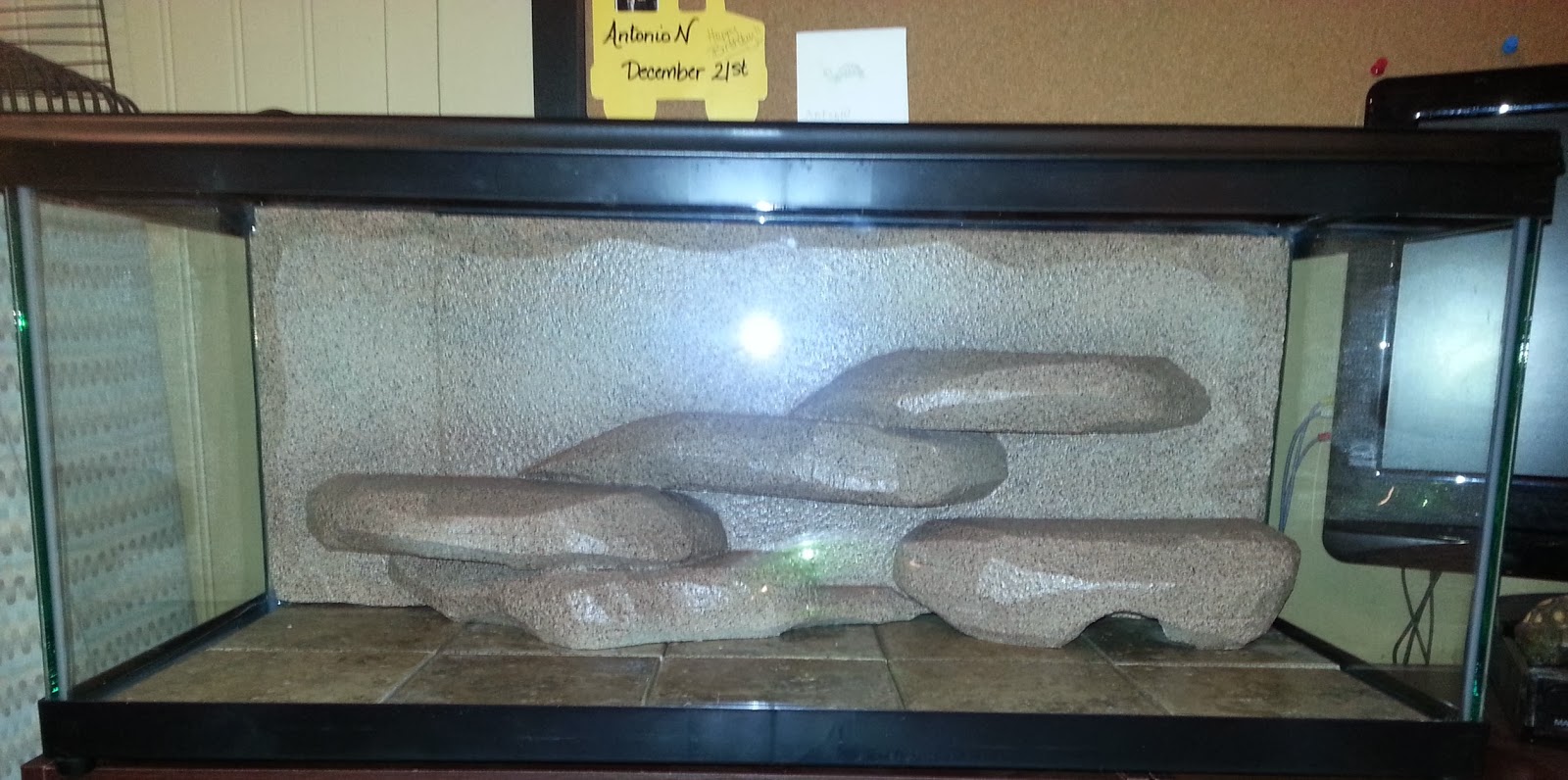 Much Bigger than Me: DYI Terrarium background