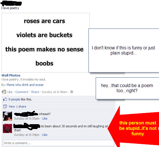Stupid No Funny No Definitely Stupid Stupid No Funny No Definitely Stupid