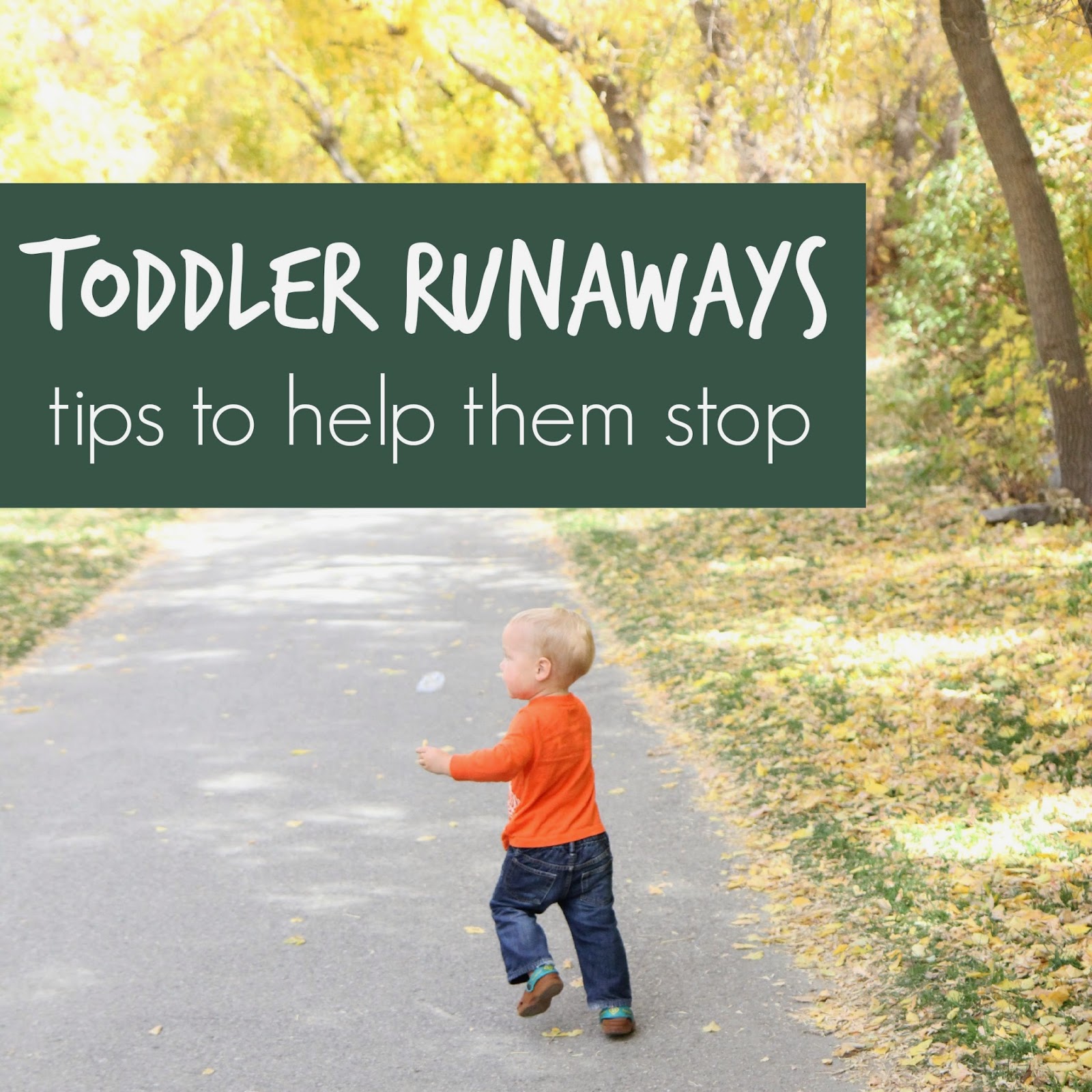 Toddler Approved! How to Stop Your Toddler From Running Away