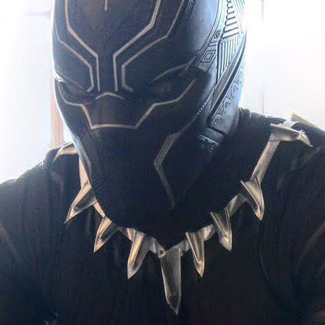 Black Panther Is Also A Cat : マーベルの大人気ヒーロー、ブラック・パンサーの致命的な弱点を指摘したコスプレ ! !
