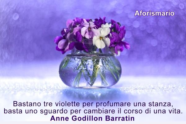 Aforismario Aforismi Frasi E Proverbi Su Viole E Violette