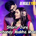 Shorir Jure Jochonay Makha Makhi Lyrics - Stree | Zee Bangla Serial Song