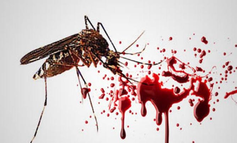 17+ Arti Mimpi Membunuh Nyamuk Togel 2d