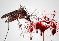 Mimpi Nyamuk Menurut Erek Erek 4d 3d 2d Tafsir Mimpi