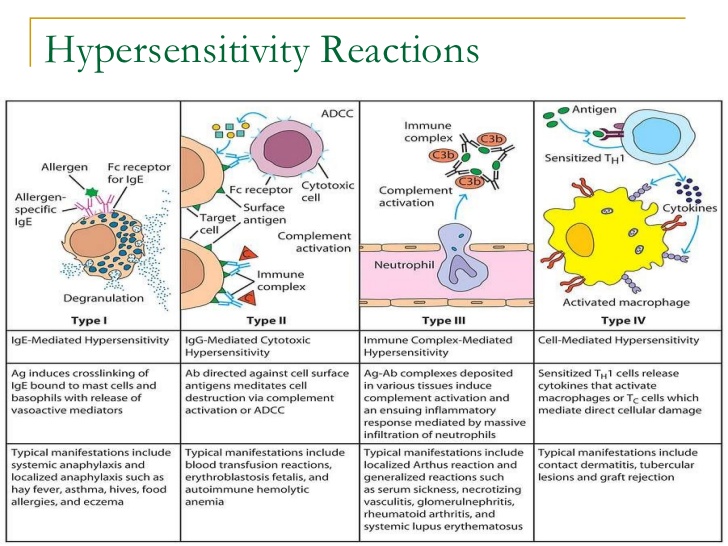 hypersensitivity reaction