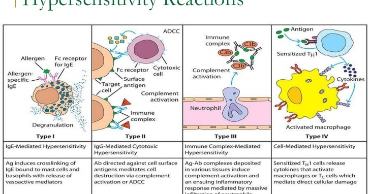 hypersensitivity reaction