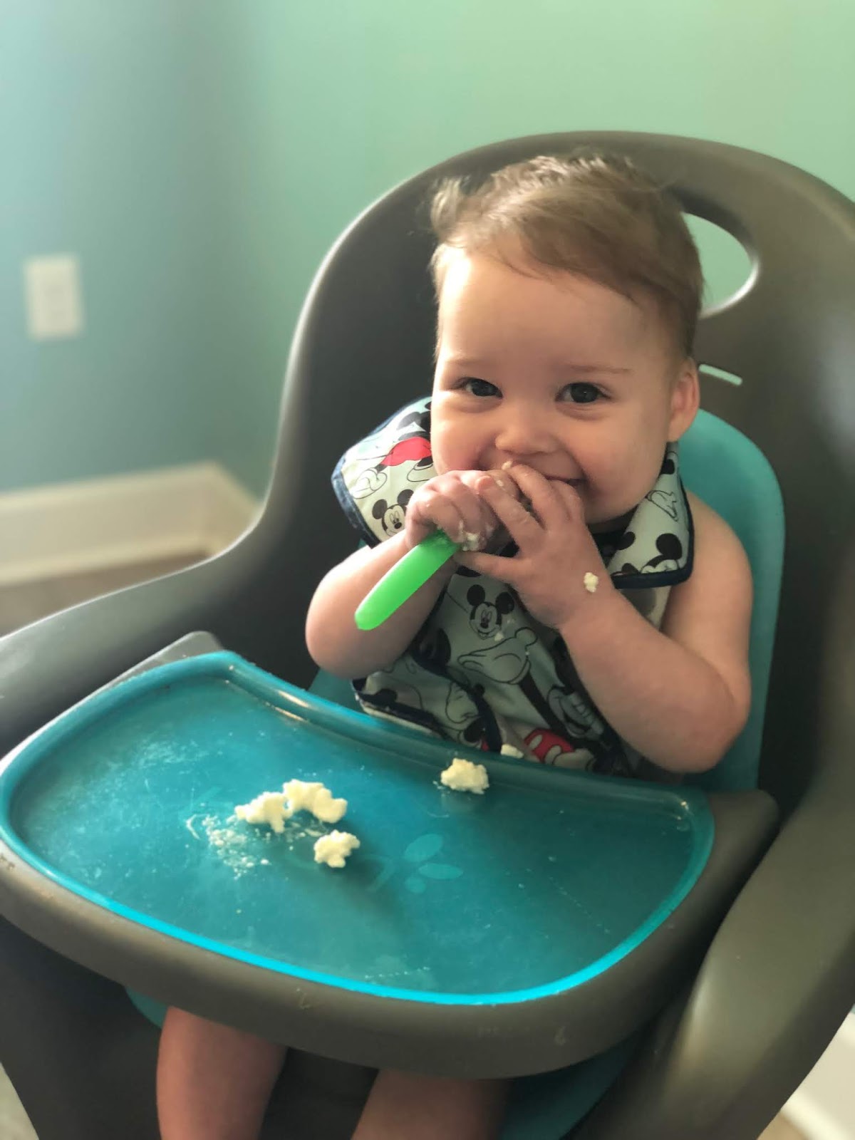 best foods baby led weaning 30 first foods