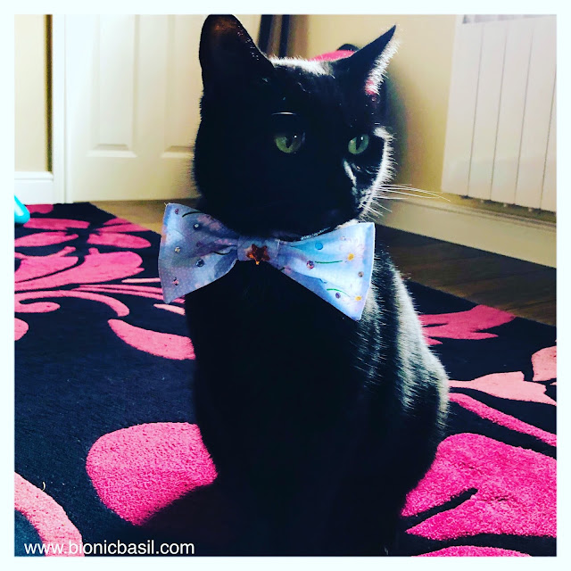 Parsley in his bowtie @BionicBasil® Mandalas on Monday 18-3-19