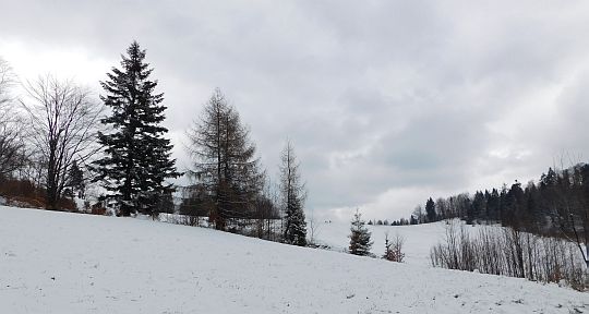 Polana nad Wierchomlą.