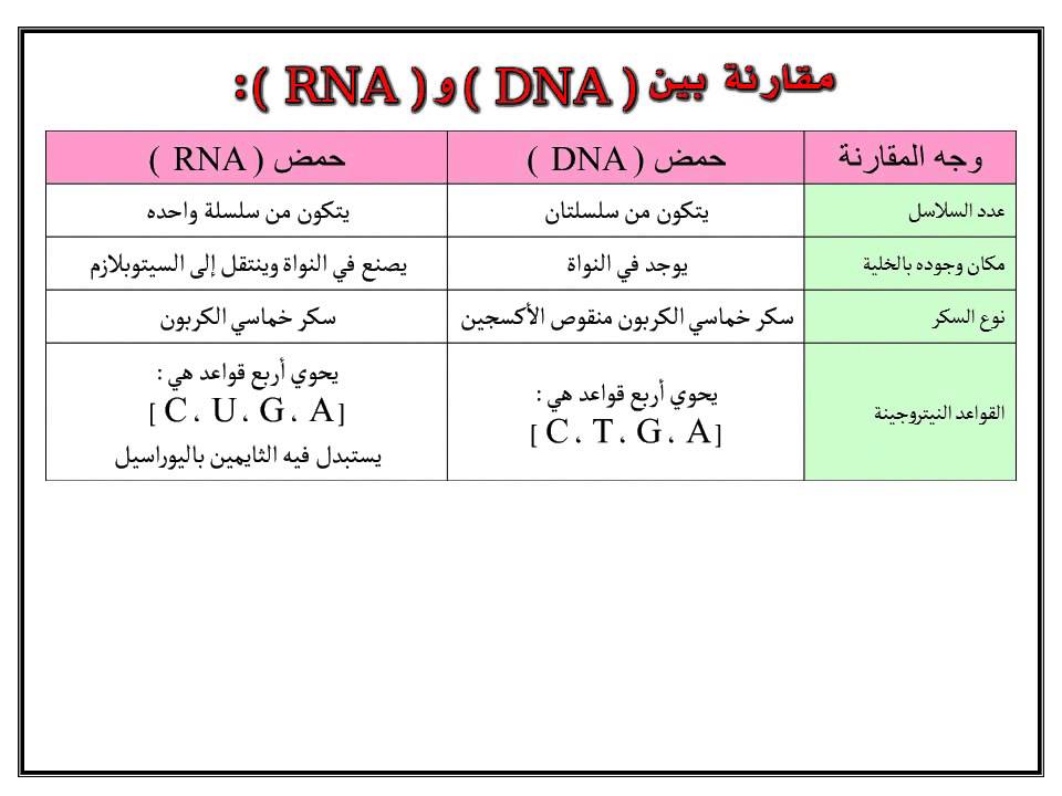 عملية يسمى تضاعف انحراف dna ينتج خلال اي الجين هو