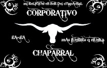 Corporativo Chaparral
