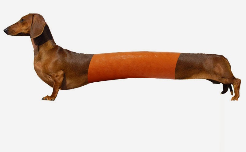 Art One David Connell Hot Dog Dog art-one-david-connell-hot-dog-dog