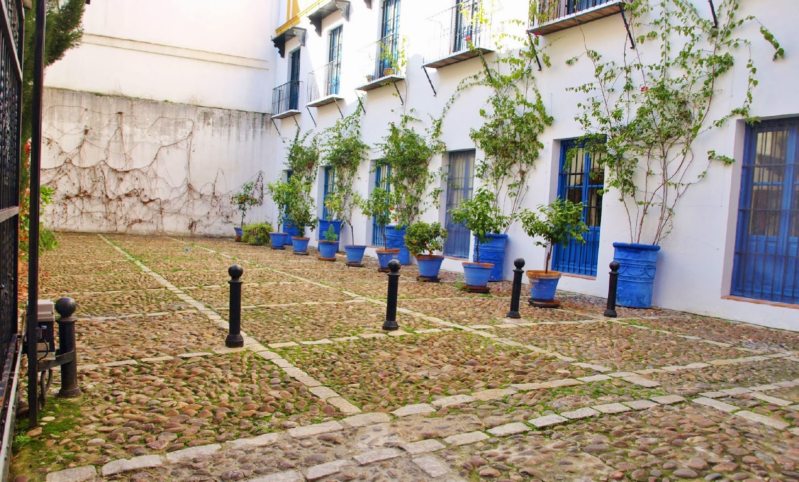 Sevilla Daily Photo Un patio cerrado en la Calle Vidrio.