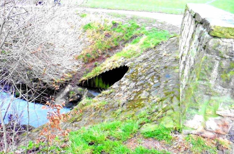 Parkrun Fun: Getting Fit With The Children