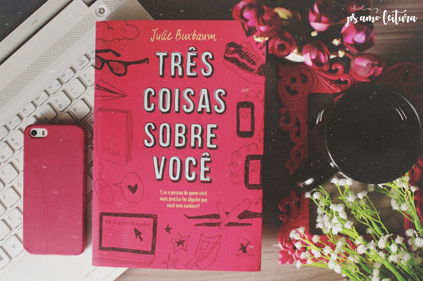 PS Amo Leitura: Resenha | Três coisas sobre você, de Julie Buxbaum