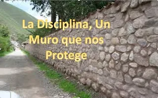 La Disciplina, un muro que nos protege de los problemas