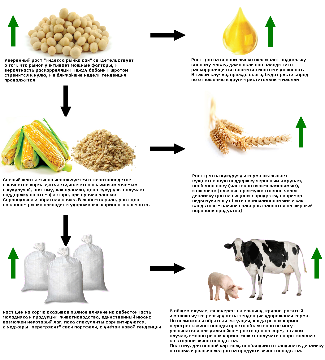 продукты животноводства. растительные и животные продукты. продукты от животноводства. животноводческая продукция перечень. продукты животноводства 3 класс окружающий мир.