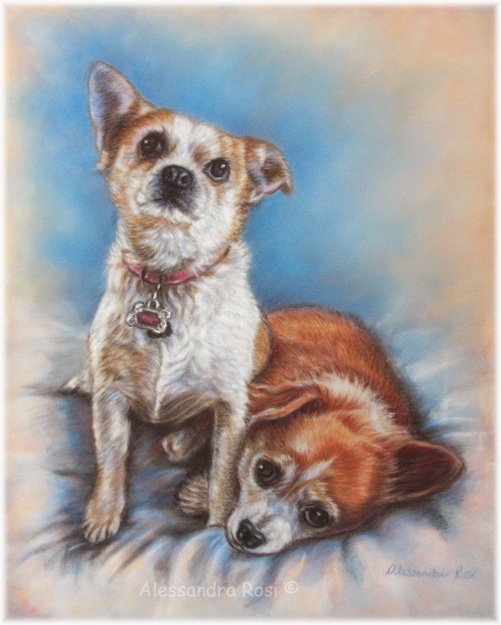 Alessandra Rosi Art PET PORTRAITS GALLERY