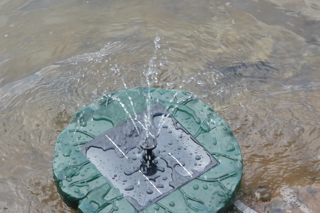 Mein Testblog Nicki testet den Duramaxx Sunfountain Garten Teich