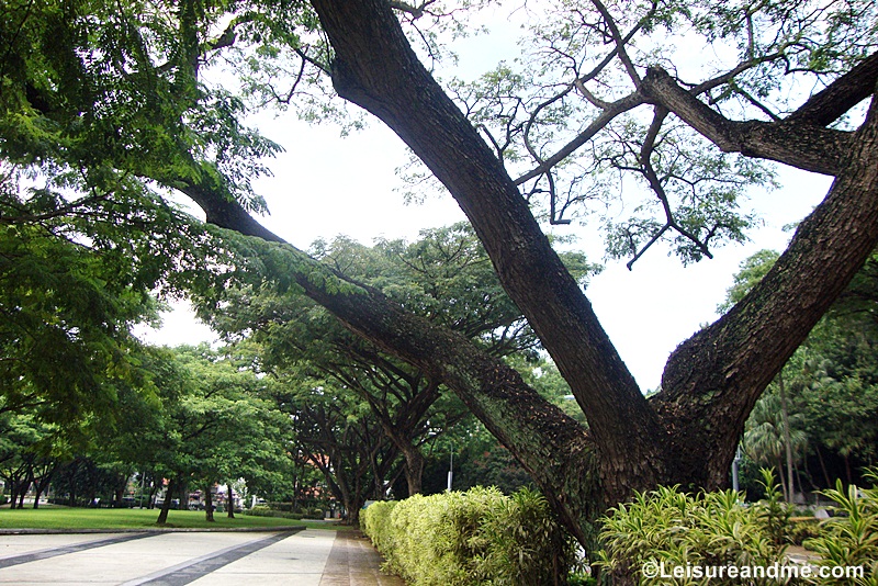 Dhoby Ghaut Green Singapore 