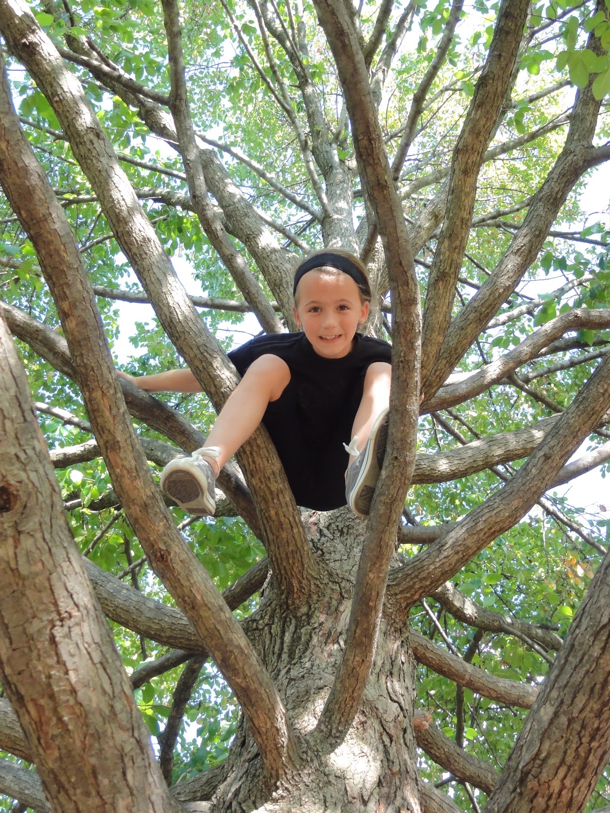 Tracy Design Lab 443 Climb That Tree