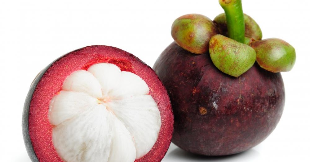Ekspedisi Buah Tropis: Menyusuri Kebun Buah Manggis dan Durian untuk Wisatawan Petualang