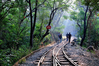 Mini Rail Track Sanjay Gandhi National Park Borivali Mumbai
