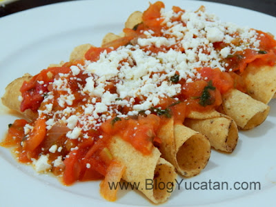 Codzitos Comida de la peninsula de Yucatan