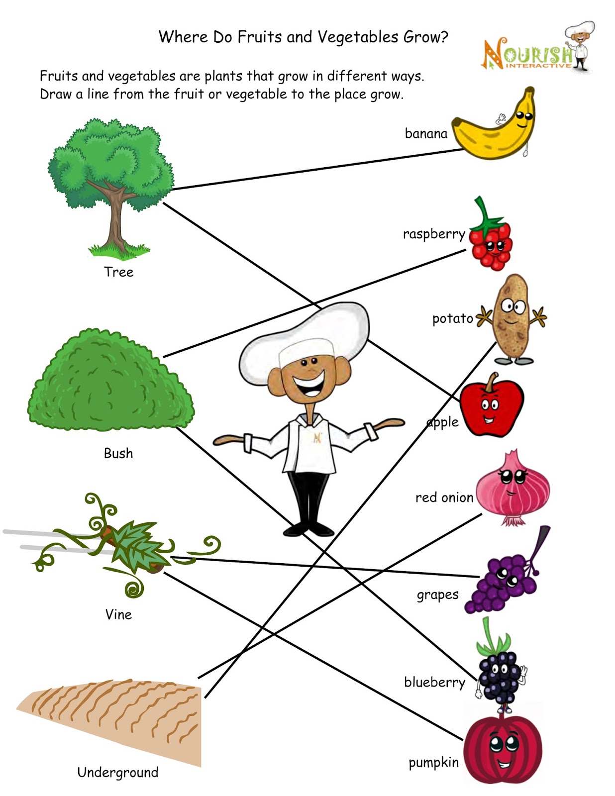 They like vegetables. Where do the Fruits and Vegetables grow Worksheets. Where does it grow Worksheet. Where do Fruits and Vegetables grow. Where Fruit and Vegetable grow.