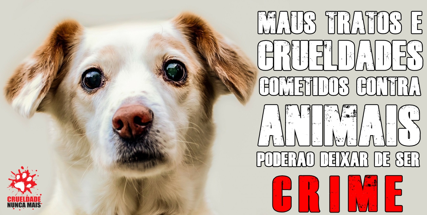 CRUELDADE NUNCA MAIS