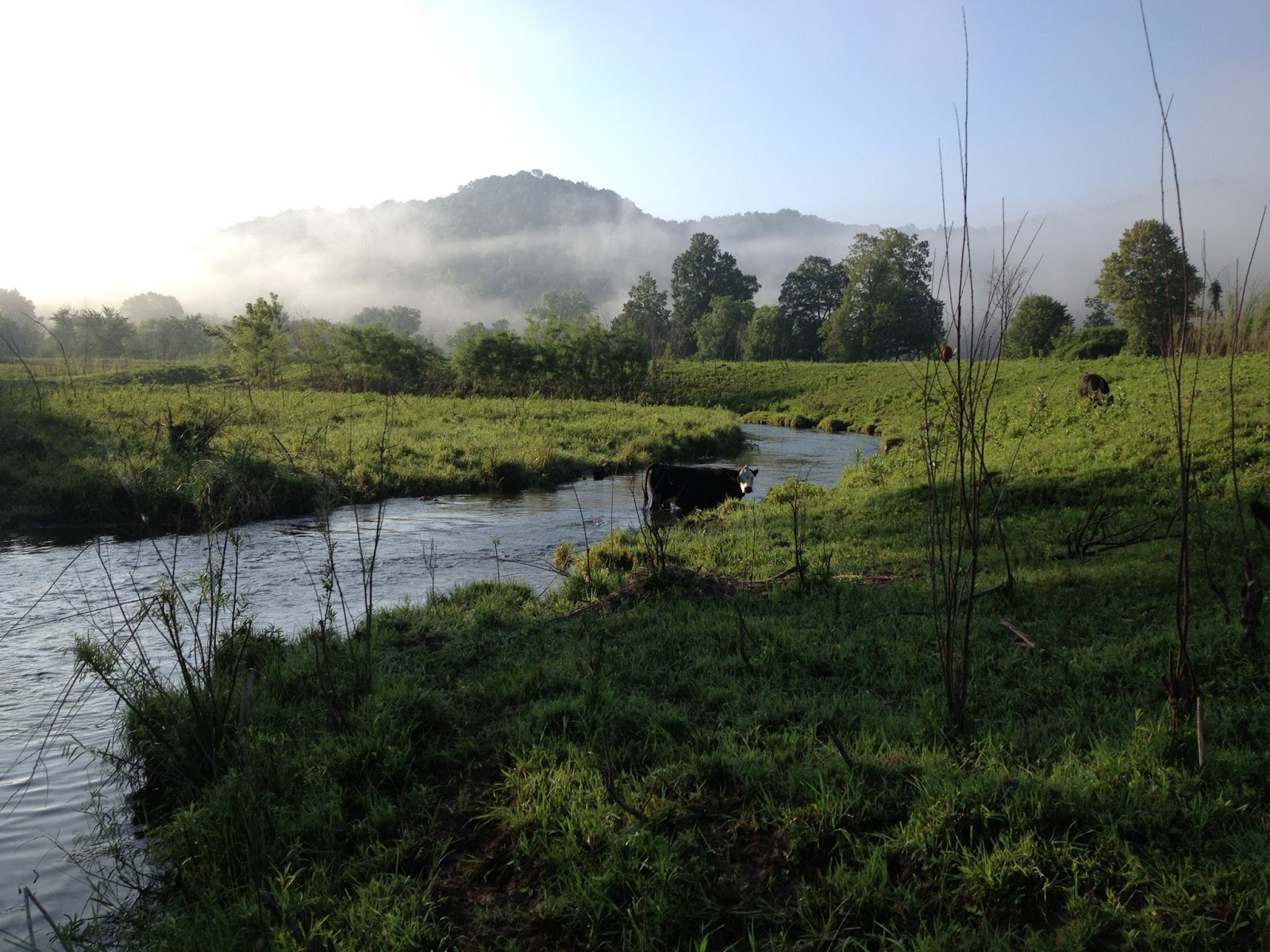 Silent Sports Chicago The Driftless Area Wisconsin